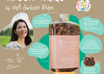 เชอรี่ infographic